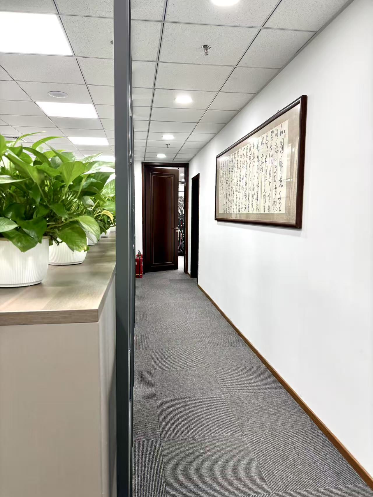 招贤纳士_理道律师事务所